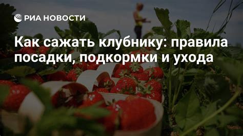 Инструкция по правильной посадке в седле