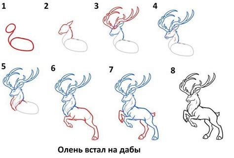 Инструкция по рисованию портрета оленя: основные техники начинающего художника