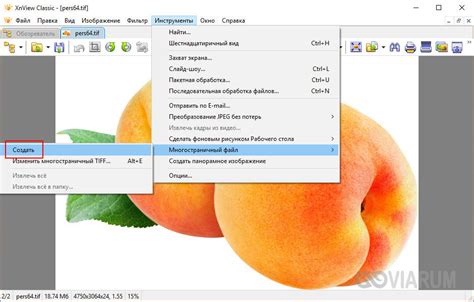 Инструкция по созданию многостраничного Tiff в программе XnView