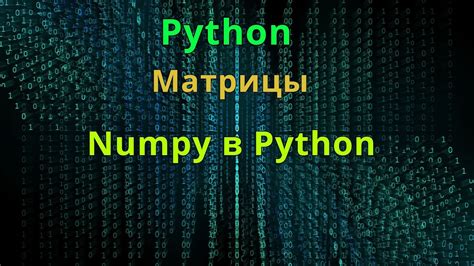 Инструкция по созданию рандомной матрицы в Python