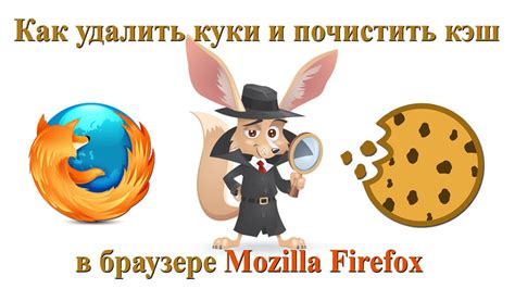 Инструкция по удалению куки Майкрософт в браузере Mozilla Firefox