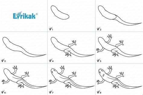 Инструкция по шагам: как нарисовать ящерицу для детей карандашом
