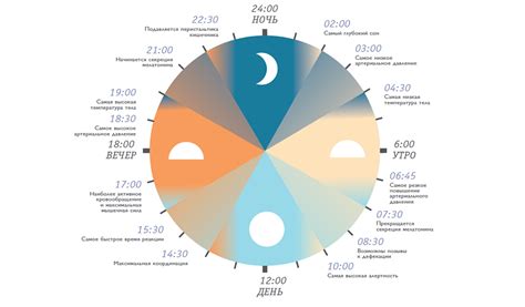 Инструменты для измерения циркадных ритмов