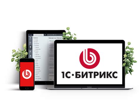 Интеграция Битрикс с 1С: преимущества и инструкция