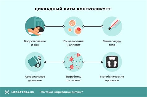 Интенсивное выработка гормонов