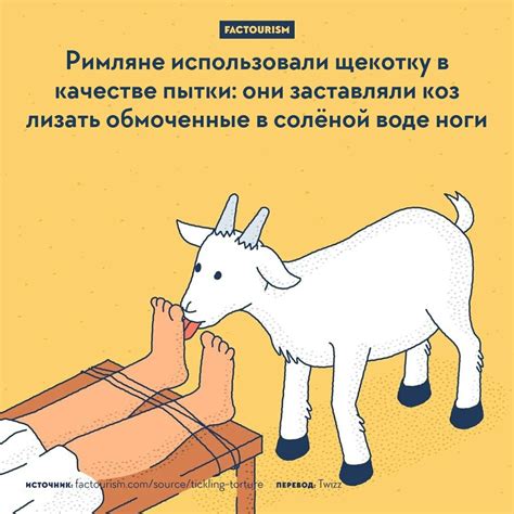 Интересные факты: