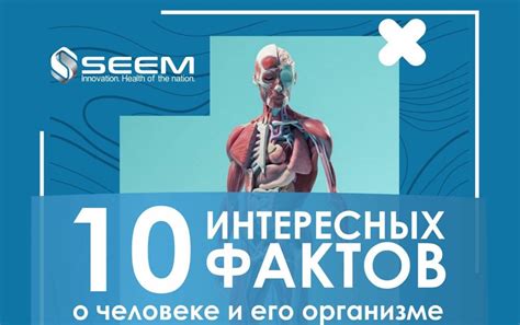 Интересные факты о Хроме и его роли в организме