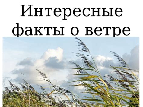 Интересные факты о ветре