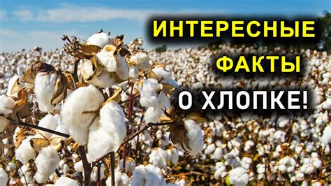 Интересные факты о электромагните