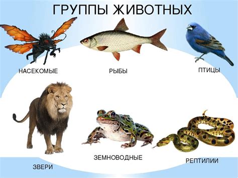 Интерпретация результатов опытов на животных и их применимость к человеческому опыту