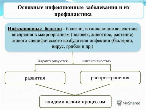 Инфекционные заболевания и грибок