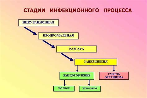 Инфекционный процесс