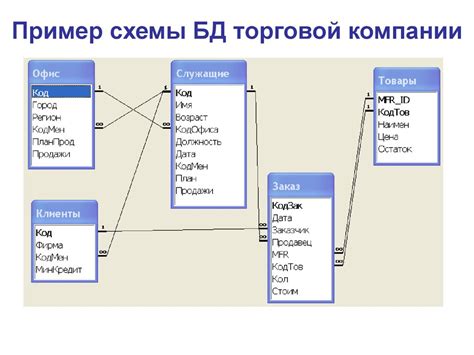 Информационная база данных