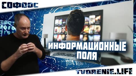 Информационные поля