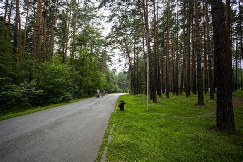 Инфраструктура пляжа Заельцовского парка