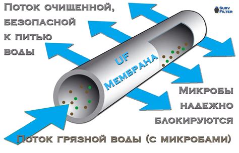 Ионизация и ультрафильтрация