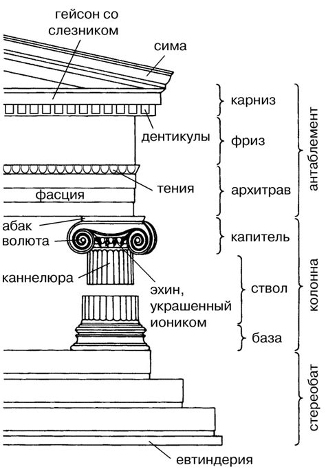 Ионическая капитель: основные элементы