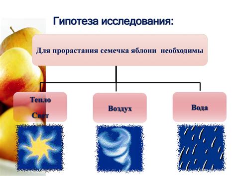 Исключение влияния внешних факторов 