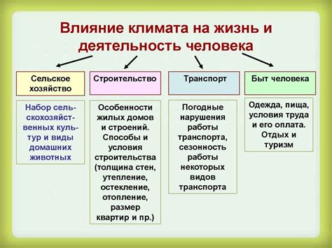 Исключение влияния образовательной сферы на процесс рисования