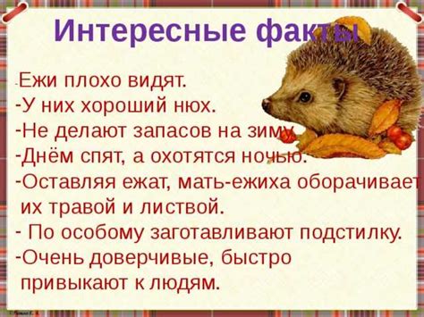 Исключения в написании