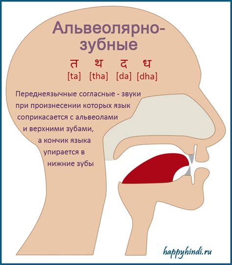 Исключения в произношении