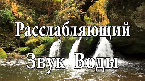 Искусство звуков природы