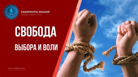 Использование альтернативных приложений: свобода выбора