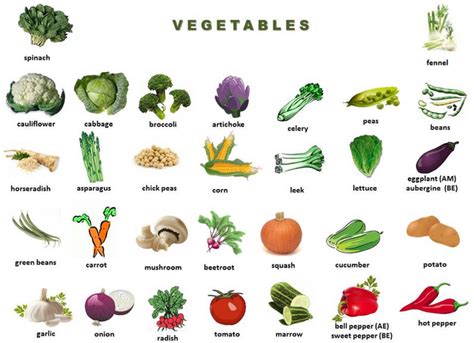 Использование английских названий овощей в повседневной жизни