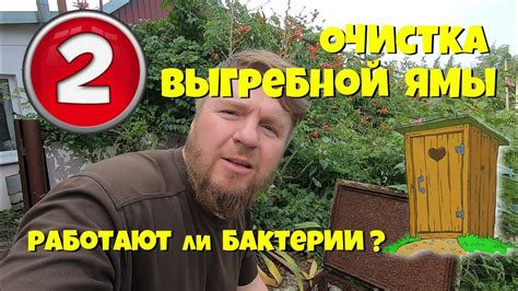 Использование бактерий в курятнике: эффективная очистка отходов