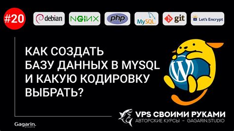 Использование внешних инструментов для определения кодировки базы данных MySQL