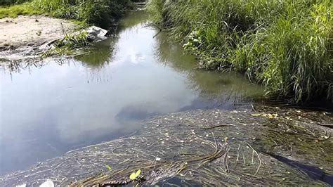 Использование воды из ручья или реки