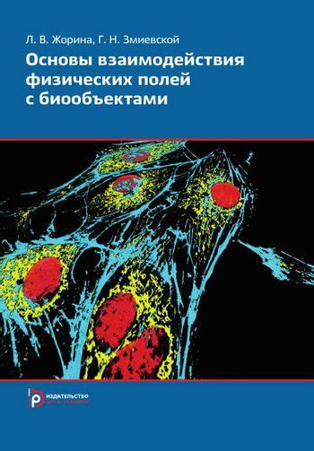 Использование воздействия физических полей для ускорения времени