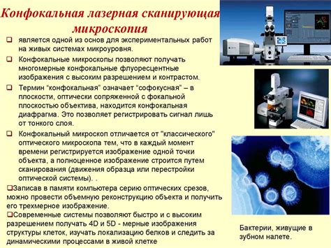 Использование в хозяйстве