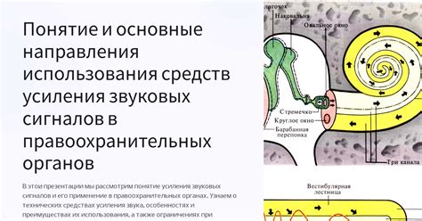 Использование звуковых усилителей для усиления и четкой передачи звуковой картины