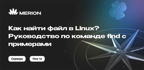 Использование команды find с -exec