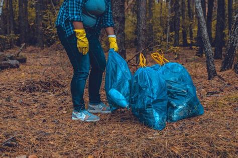 Использование команд и волонтеров для очистки леса от мусора