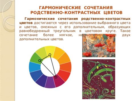 Использование контрастных цветов