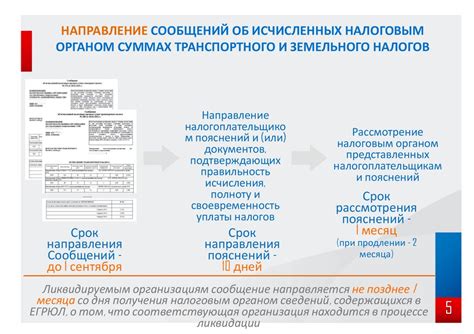 Использование налоговых льгот: как минимизировать налогообложение