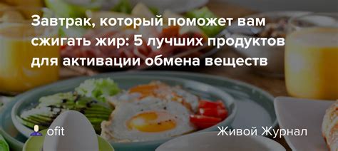 Использование натуральных продуктов для активации обмена веществ