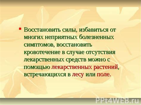 Использование природных средств для снятия симптомов