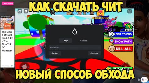 Использование программ для обхода RoShield Roblox