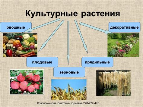 Использование растений