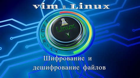 Использование регистров в Vim для копирования файлов