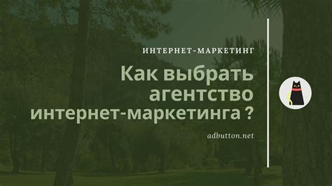 Использование сети интернет для продвижения и рекламы