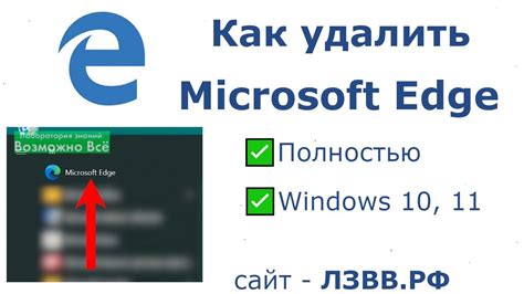 Использование специализированных программ для удаления Microsoft Edge