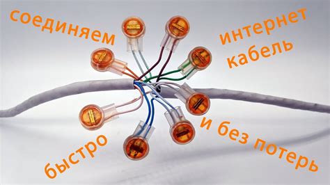 Использование специальных инструментов и материалов для улучшения модели