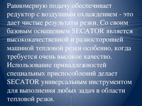 Использование специальных одежд и принадлежностей для собак