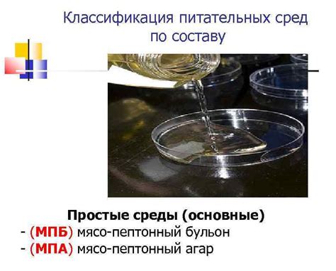 Использование специальных питательных сред