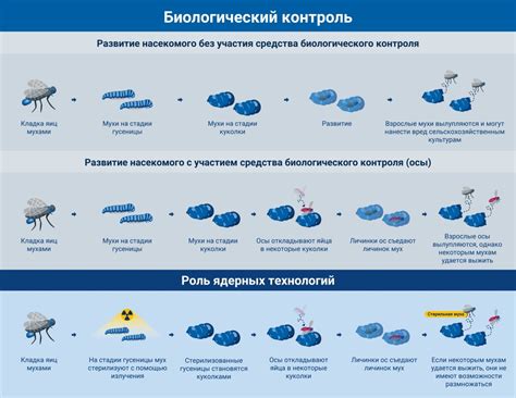 Использование средств биологического контроля