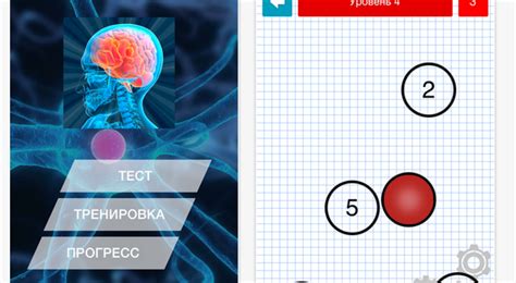 Использование технологий и приложений для тренировки мозга